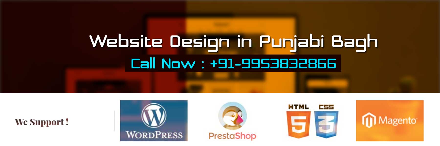 Website Design in Punjabi Bagh