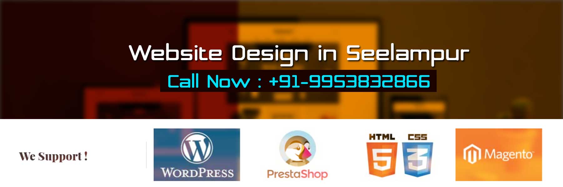 Website Design in Seelampur