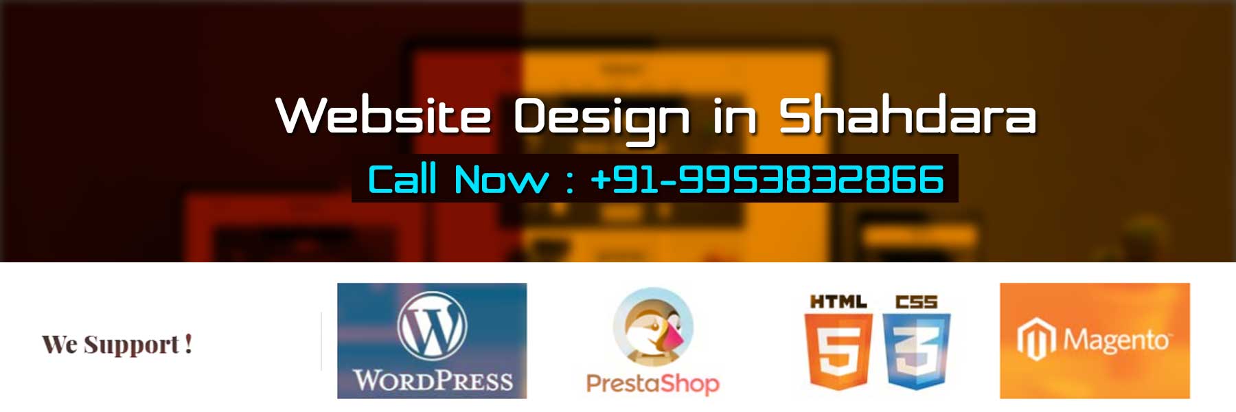 Website Design in Shahdara